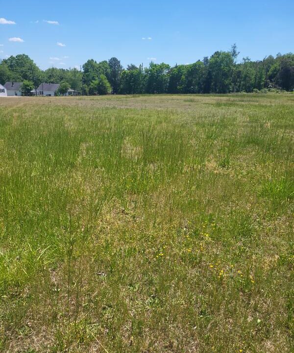 Haley lot field, Danville 0224