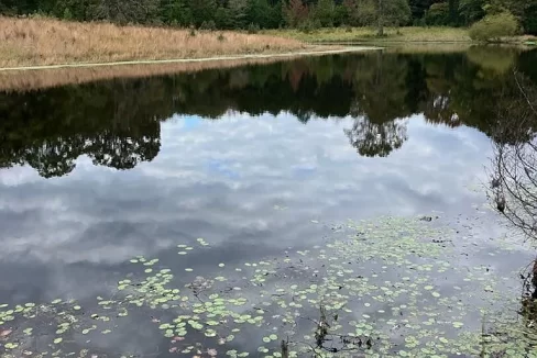 Pond 2