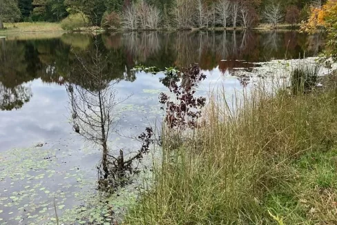 Pond